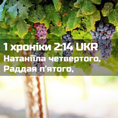 Picture 02 - 1 хроніки 2:14 UKR - Натаніїла четвертого, - Bible Verse Picture