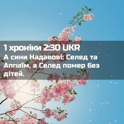 Picture 02 - 1 хроніки 2:30 UKR - А сини Надавові: Селед та - Bible Verse Picture