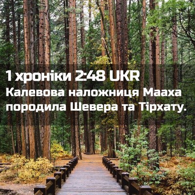 Picture 02 - 1 хроніки 2:48 UKR - Калевова наложниця Мааха - Bible Verse Picture