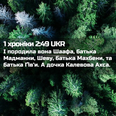 Picture 02 - 1 хроніки 2:49 UKR - І породила вона Шаафа, - Bible Verse Picture