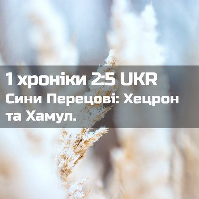 Picture 02 - 1 хроніки 2:5 UKR - Сини Перецові: Хецрон та - Bible Verse Picture