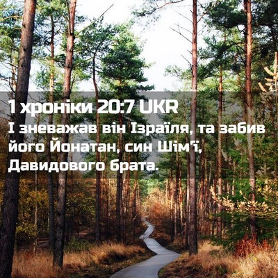 Picture 02 - 1 хроніки 20:7 UKR - І зневажав він Ізраїля, та - Bible Verse Picture