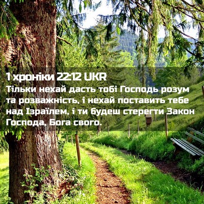 Picture 02 - 1 хроніки 22:12 UKR - Тільки нехай дасть тобі - Bible Verse Picture