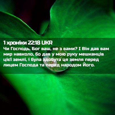 Picture 02 - 1 хроніки 22:18 UKR - Чи Господь, Бог ваш, не з - Bible Verse Picture