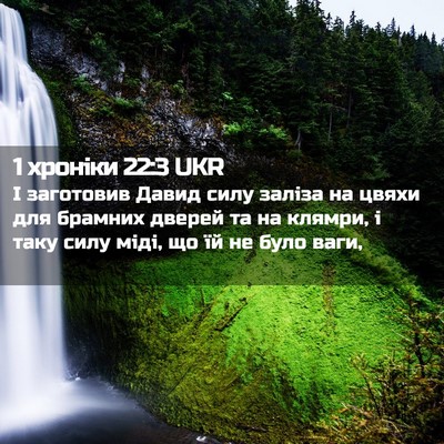 Picture 02 - 1 хроніки 22:3 UKR - І заготовив Давид силу - Bible Verse Picture