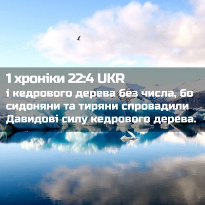 Picture 02 - 1 хроніки 22:4 UKR - і кедрового дерева без - Bible Verse Picture