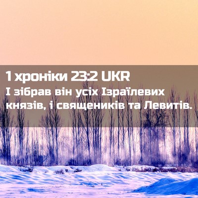 Picture 02 - 1 хроніки 23:2 UKR - І зібрав він усіх - Bible Verse Picture