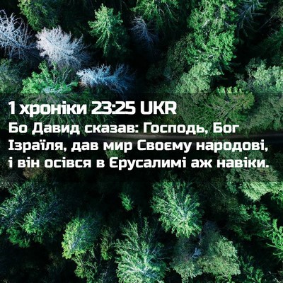 Picture 02 - 1 хроніки 23:25 UKR - Бо Давид сказав: Господь, - Bible Verse Picture