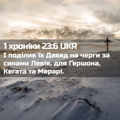 Picture 02 - 1 хроніки 23:6 UKR - І поділив їх Давид на черги - Bible Verse Picture