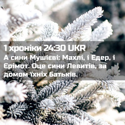 Picture 02 - 1 хроніки 24:30 UKR - А сини Мушієві: Махлі, і - Bible Verse Picture