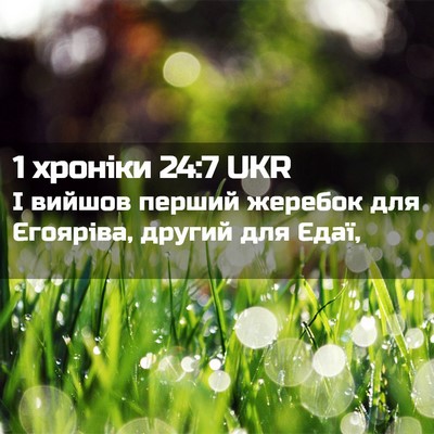 Picture 02 - 1 хроніки 24:7 UKR - І вийшов перший жеребок - Bible Verse Picture