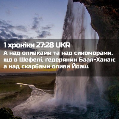 Picture 02 - 1 хроніки 27:28 UKR - А над оливками та над - Bible Verse Picture