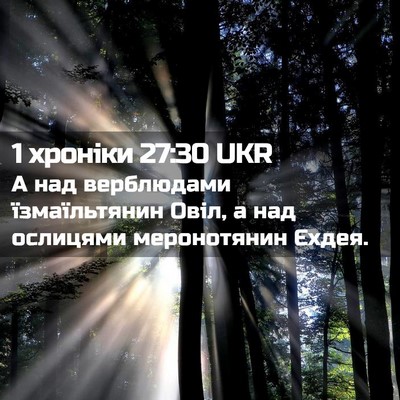 Picture 02 - 1 хроніки 27:30 UKR - А над верблюдами - Bible Verse Picture