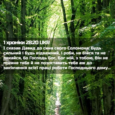 Picture 02 - 1 хроніки 28:20 UKR - І сказав Давид до сина - Bible Verse Picture