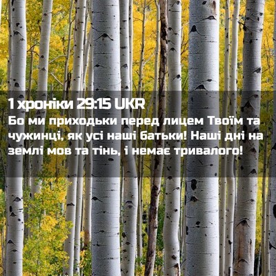 Picture 02 - 1 хроніки 29:15 UKR - Бо ми приходьки перед - Bible Verse Picture