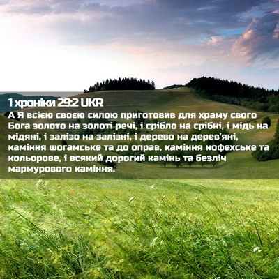 Picture 02 - 1 хроніки 29:2 UKR - А Я всією своєю силою - Bible Verse Picture