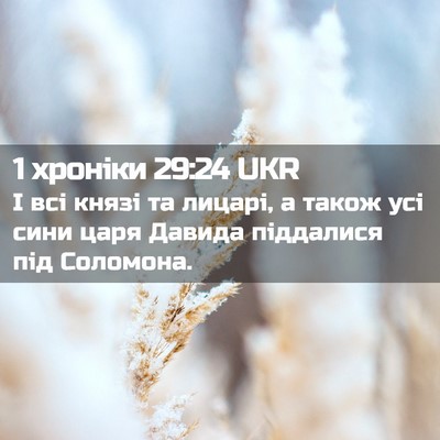 Picture 02 - 1 хроніки 29:24 UKR - І всі князі та лицарі, а - Bible Verse Picture