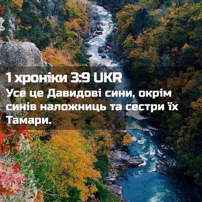 Picture 02 - 1 хроніки 3:9 UKR - Усе це Давидові сини, окрім - Bible Verse Picture