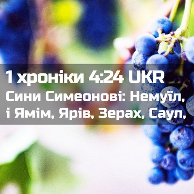 Picture 02 - 1 хроніки 4:24 UKR - Сини Симеонові: Немуїл, і - Bible Verse Picture