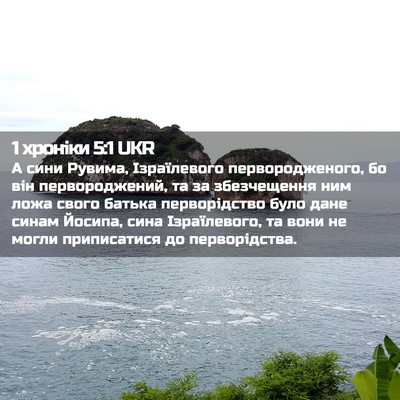 Picture 02 - 1 хроніки 5:1 UKR - А сини Рувима, Ізраїлевого - Bible Verse Picture