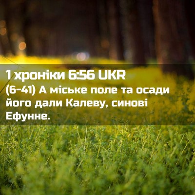 Picture 02 - 1 хроніки 6:56 UKR - (6-41) А міське поле та осади - Bible Verse Picture