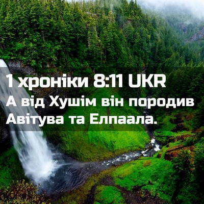 Picture 02 - 1 хроніки 8:11 UKR - А від Хушім він породив - Bible Verse Picture