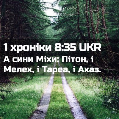 Picture 02 - 1 хроніки 8:35 UKR - А сини Міхи: Пітон, і Мелех, - Bible Verse Picture
