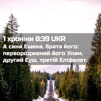 Picture 02 - 1 хроніки 8:39 UKR - А сини Ешека, брата його: - Bible Verse Picture