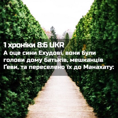 Picture 02 - 1 хроніки 8:6 UKR - А оце сини Ехудові, вони - Bible Verse Picture