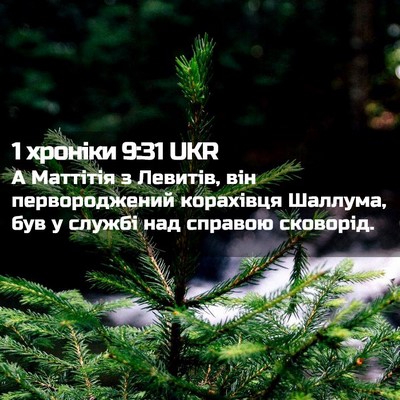 Picture 02 - 1 хроніки 9:31 UKR - А Маттітія з Левитів, він - Bible Verse Picture