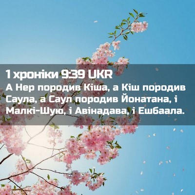 Picture 02 - 1 хроніки 9:39 UKR - А Нер породив Кіша, а Кіш - Bible Verse Picture