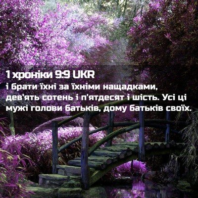 Picture 02 - 1 хроніки 9:9 UKR - і брати їхні за їхніми - Bible Verse Picture