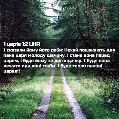 Picture 02 - 1 царів 1:2 UKR - І сказали йому його раби: - Bible Verse Picture