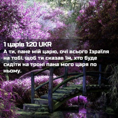 Picture 02 - 1 царів 1:20 UKR - А ти, пане мій царю, очі - Bible Verse Picture