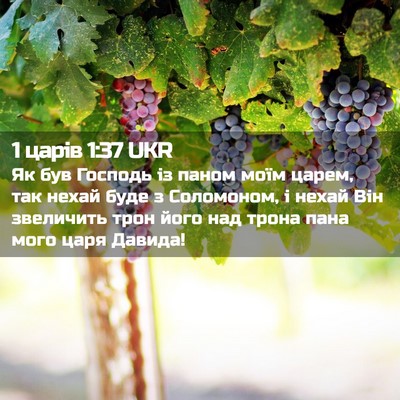 Picture 02 - 1 царів 1:37 UKR - Як був Господь із паном - Bible Verse Picture