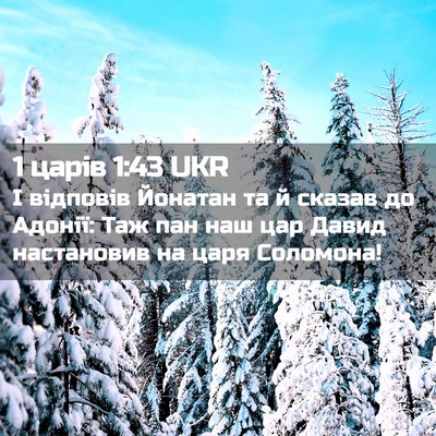 Picture 02 - 1 царів 1:43 UKR - І відповів Йонатан та й - Bible Verse Picture