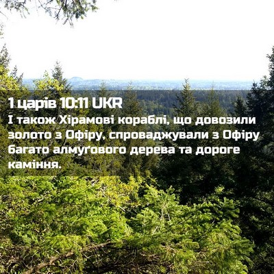 Picture 02 - 1 царів 10:11 UKR - І також Хірамові кораблі, - Bible Verse Picture