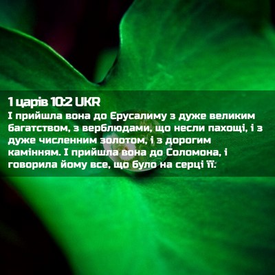 Picture 02 - 1 царів 10:2 UKR - І прийшла вона до - Bible Verse Picture