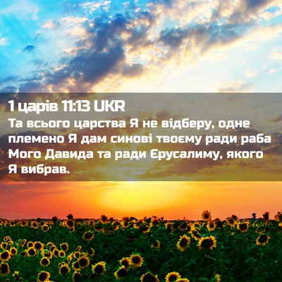 Picture 02 - 1 царів 11:13 UKR - Та всього царства Я не - Bible Verse Picture