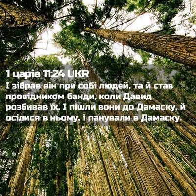 Picture 02 - 1 царів 11:24 UKR - І зібрав він при собі - Bible Verse Picture