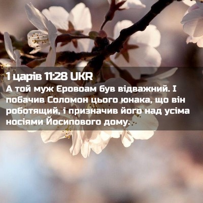 Picture 02 - 1 царів 11:28 UKR - А той муж Єровоам був - Bible Verse Picture