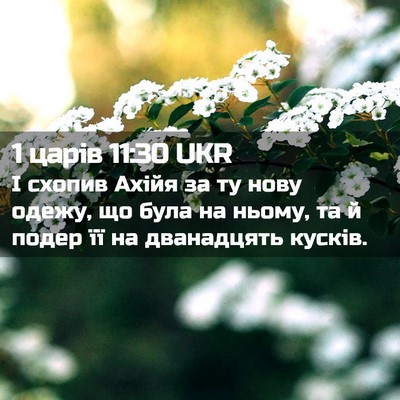 Picture 02 - 1 царів 11:30 UKR - І схопив Ахійя за ту нову - Bible Verse Picture