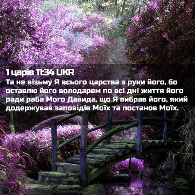 Picture 02 - 1 царів 11:34 UKR - Та не візьму Я всього - Bible Verse Picture