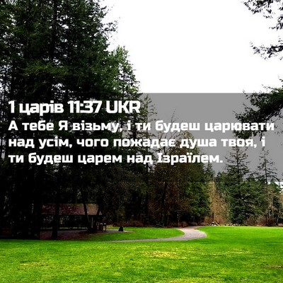 Picture 02 - 1 царів 11:37 UKR - А тебе Я візьму, і ти будеш - Bible Verse Picture