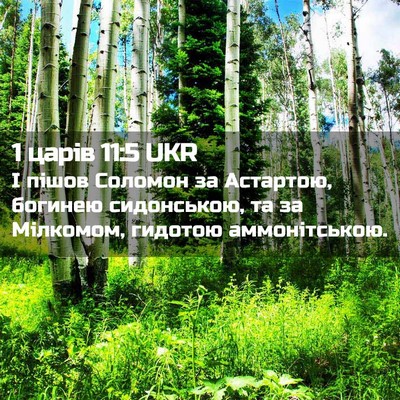 Picture 02 - 1 царів 11:5 UKR - І пішов Соломон за - Bible Verse Picture