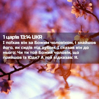 Picture 02 - 1 царів 13:14 UKR - І поїхав він за Божим - Bible Verse Picture