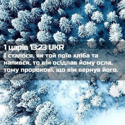 Picture 02 - 1 царів 13:23 UKR - І сталося, як той поїв - Bible Verse Picture