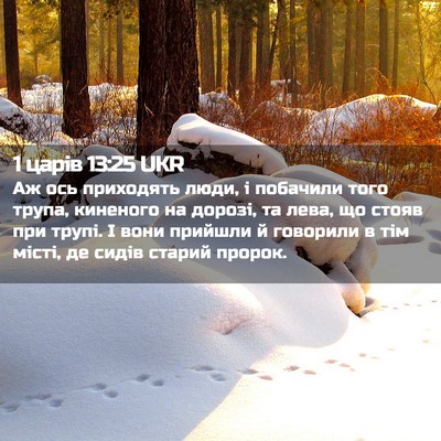 Picture 02 - 1 царів 13:25 UKR - Аж ось приходять люди, і - Bible Verse Picture