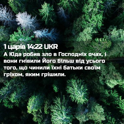 Picture 02 - 1 царів 14:22 UKR - А Юда робив зло в Господніх - Bible Verse Picture
