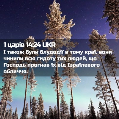 Picture 02 - 1 царів 14:24 UKR - І також були блудодії в - Bible Verse Picture